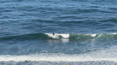 torquay