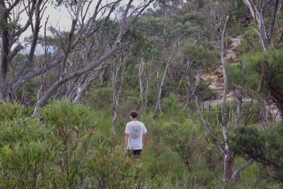 walls lookout