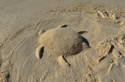 little beach