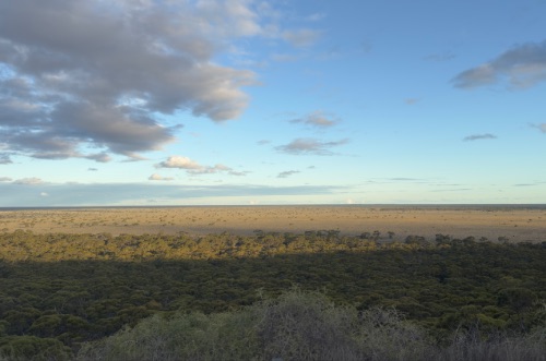 nullarbor plain