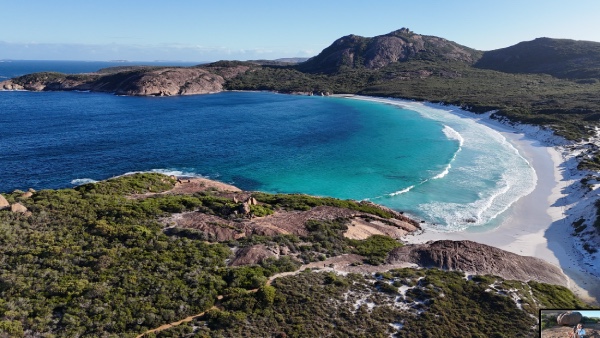 thistle cove #2