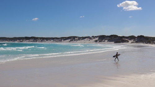 wharton beach