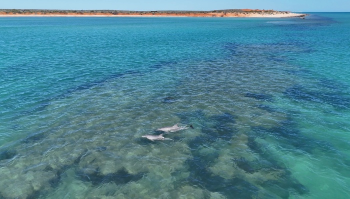 big lagoon