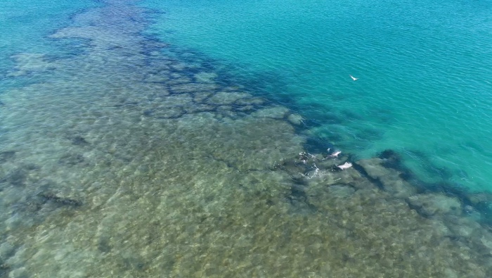 big lagoon