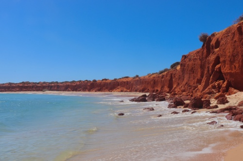 bottle bay