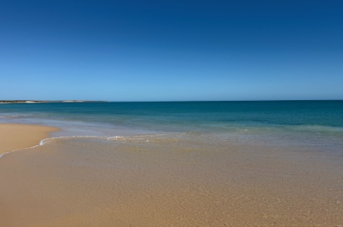 bottle bay