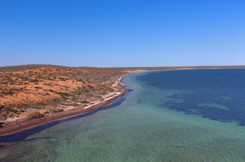eagle bluff