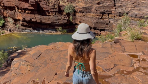 fortescue falls