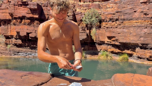 fortescue falls