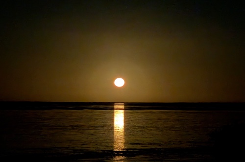 herald bight