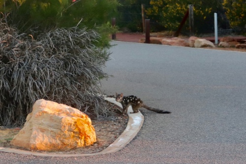 kalbarri national park