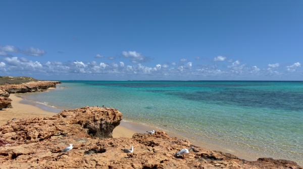oyster bay
