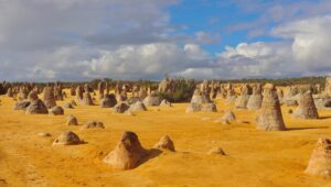 The Pinnacles Desert