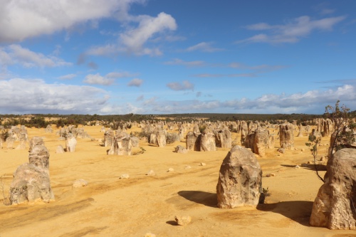 pinnacles desert