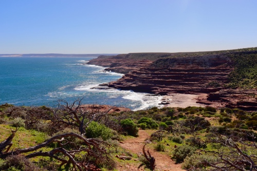 red bluff