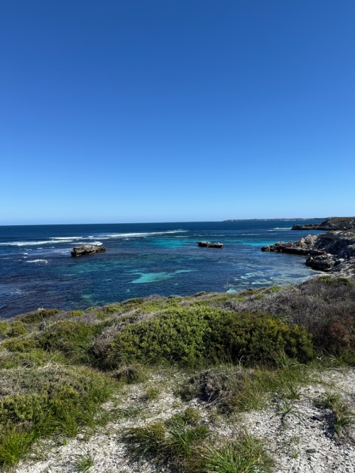 rottnest island