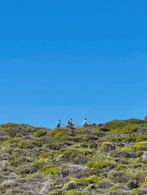 rottnest island