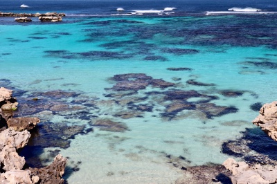 rottnest island
