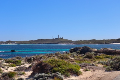rottnest island