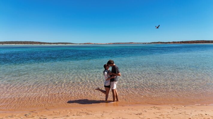shark bay