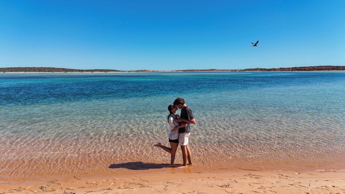 You are currently viewing Shark Bay
