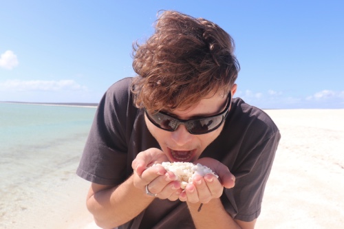 shell beach