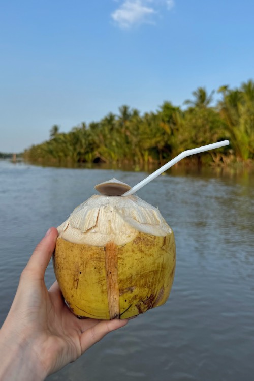 ben tre en bateau