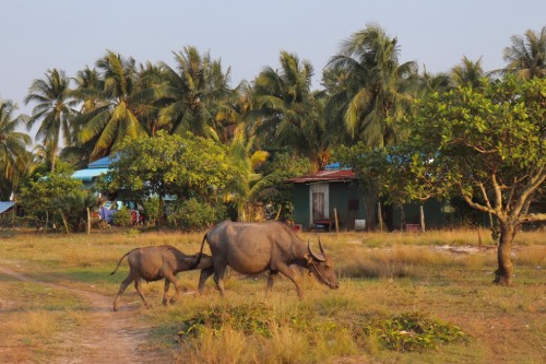 kien tuk beach