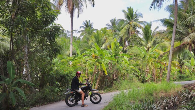 Lire la suite à propos de l’article What if… on achetait une moto ?