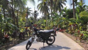 Retour au pays des Khmers