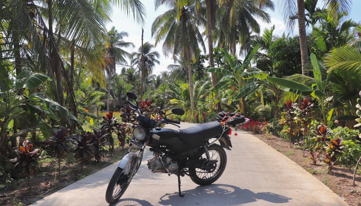 You are currently viewing Retour au pays des Khmers