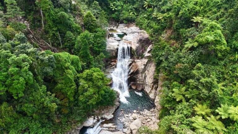 Lire la suite à propos de l’article Nam Trà My