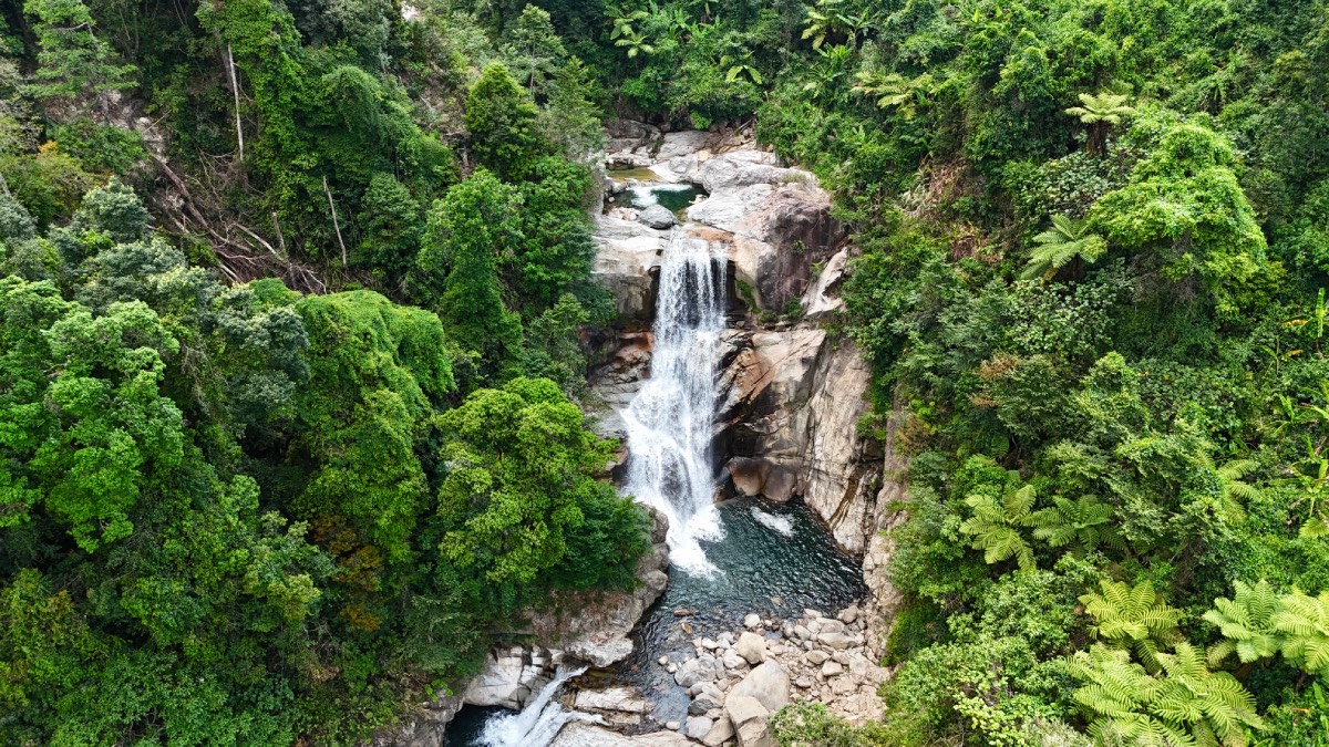 You are currently viewing Nam Trà My