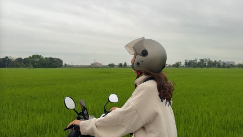 ninh binh