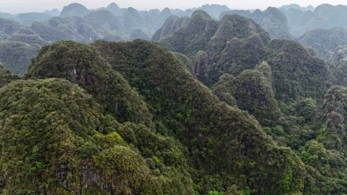 ninh binh