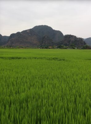ninh binh