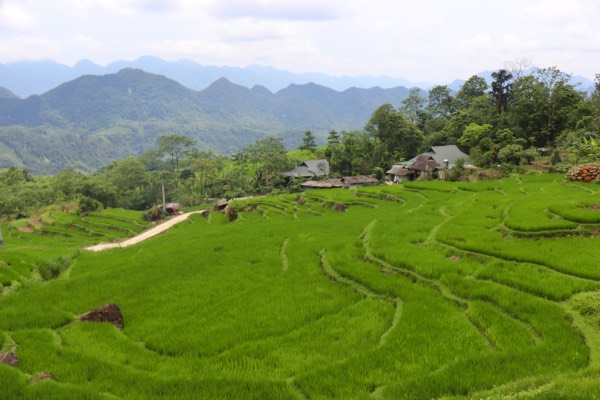 pu luong