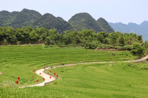 pu luong