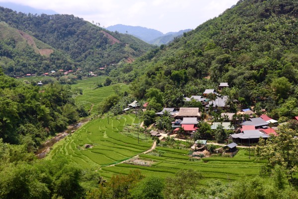 pu luong