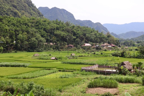 pu luong