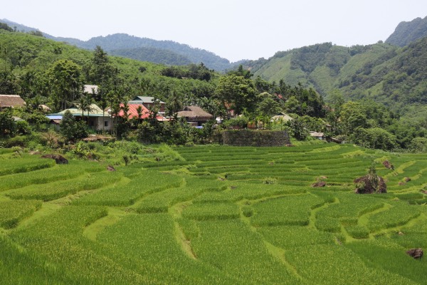 pu luong