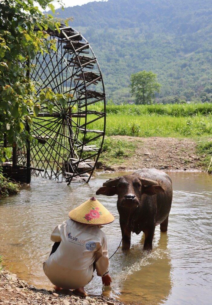 roue à eau pu luong