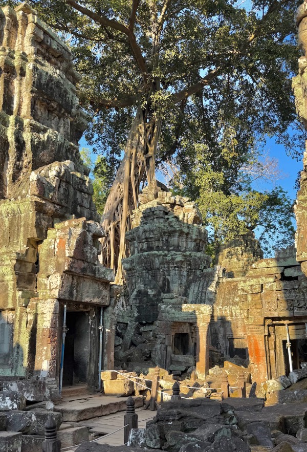 ta prohm temple angkor