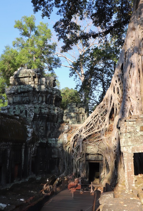 ta prohm temple angkor