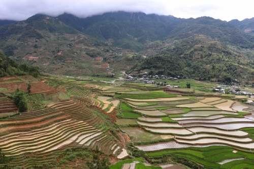 Mù Cang Chải