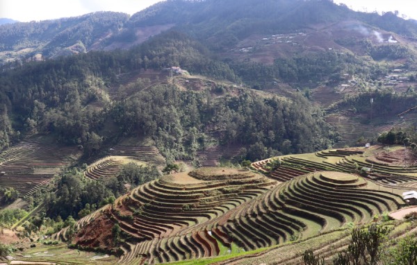 Mù Cang Chải