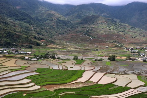 Mù Cang Chải