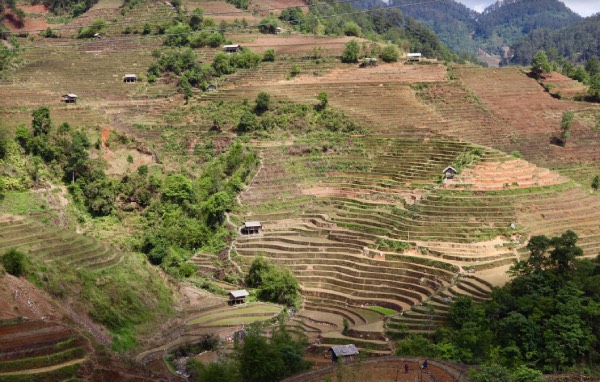 Mù Cang Chải