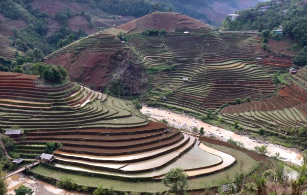 Mù Cang Chải