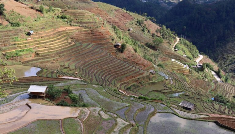 Lire la suite à propos de l’article De Tà Xùa à Mù Cang Chải